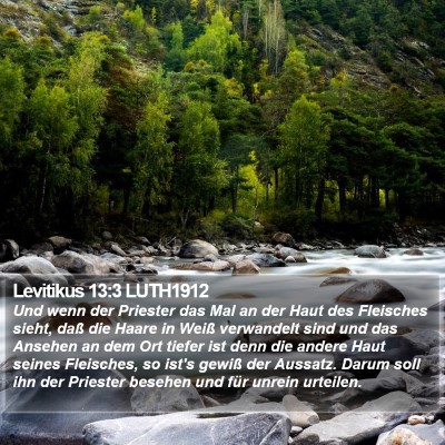 Levitikus 13:3 LUTH1912 Bible Verse Image