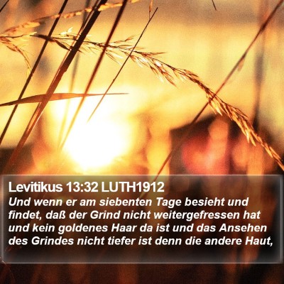 Levitikus 13:32 LUTH1912 Bible Verse Image