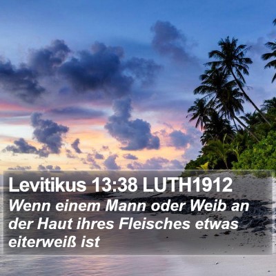 Levitikus 13:38 LUTH1912 Bible Verse Image