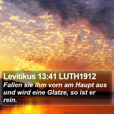 Levitikus 13:41 LUTH1912 Bible Verse Image
