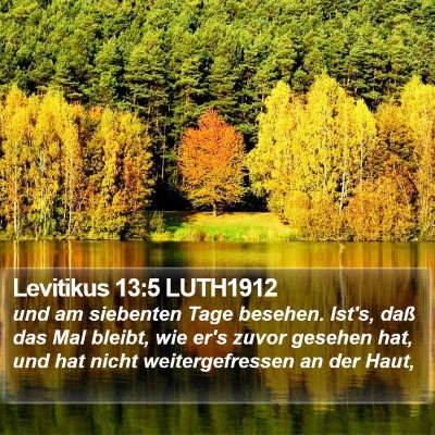 Levitikus 13:5 LUTH1912 Bible Verse Image