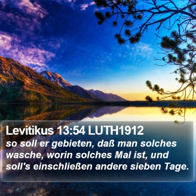 Levitikus 13:54 LUTH1912 Bible Verse Image