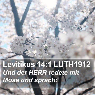 Levitikus 14:1 LUTH1912 Bible Verse Image
