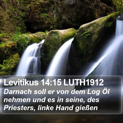 Levitikus 14:15 LUTH1912 Bible Verse Image