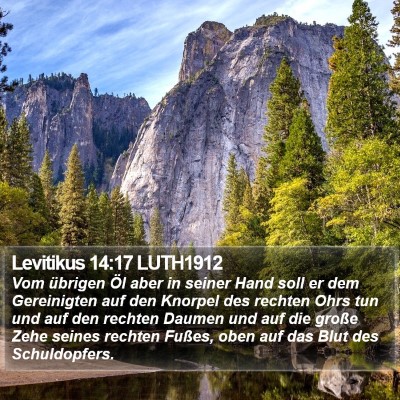 Levitikus 14:17 LUTH1912 Bible Verse Image