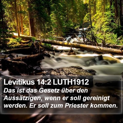 Levitikus 14:2 LUTH1912 Bible Verse Image