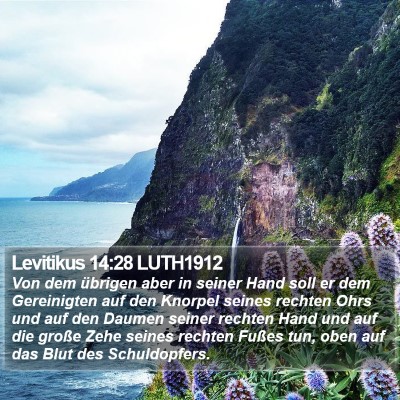 Levitikus 14:28 LUTH1912 Bible Verse Image