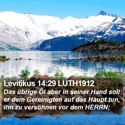 Levitikus 14:29 LUTH1912 Bible Verse Image