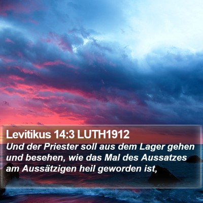 Levitikus 14:3 LUTH1912 Bible Verse Image