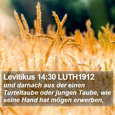 Levitikus 14:30 LUTH1912 Bible Verse Image