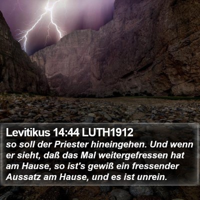 Levitikus 14:44 LUTH1912 Bible Verse Image