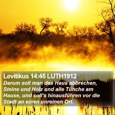 Levitikus 14:45 LUTH1912 Bible Verse Image