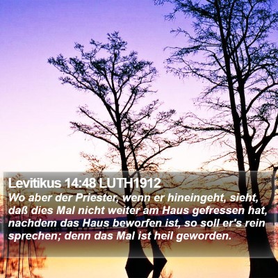 Levitikus 14:48 LUTH1912 Bible Verse Image