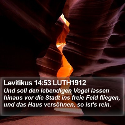 Levitikus 14:53 LUTH1912 Bible Verse Image