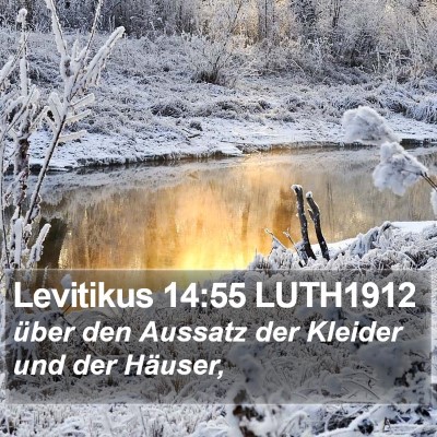 Levitikus 14:55 LUTH1912 Bible Verse Image