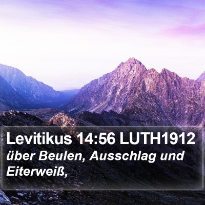 Levitikus 14:56 LUTH1912 Bible Verse Image