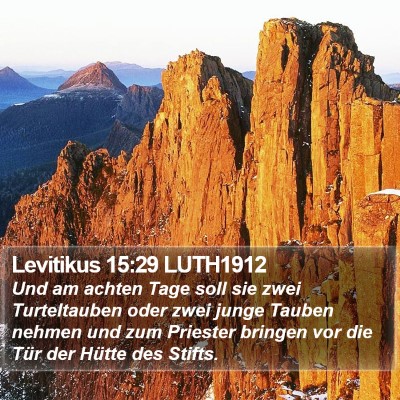 Levitikus 15:29 LUTH1912 Bible Verse Image