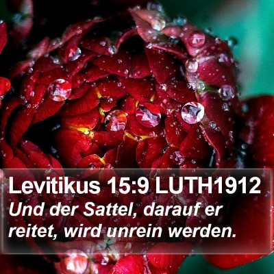 Levitikus 15:9 LUTH1912 Bible Verse Image