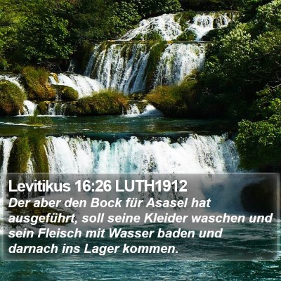 Levitikus 16:26 LUTH1912 Bible Verse Image