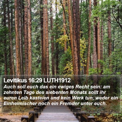 Levitikus 16:29 LUTH1912 Bible Verse Image