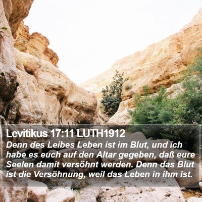 Levitikus 17:11 LUTH1912 Bible Verse Image