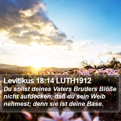 Levitikus 18:14 LUTH1912 Bible Verse Image