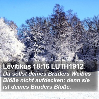 Levitikus 18:16 LUTH1912 Bible Verse Image