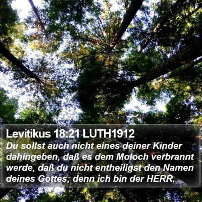 Levitikus 18:21 LUTH1912 Bible Verse Image
