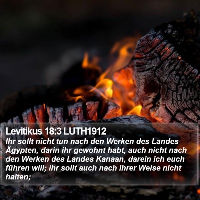 Levitikus 18:3 LUTH1912 Bible Verse Image