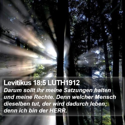 Levitikus 18:5 LUTH1912 Bible Verse Image