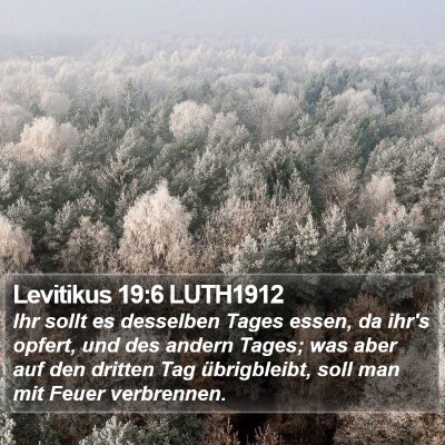 Levitikus 19:6 LUTH1912 Bible Verse Image