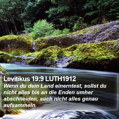 Levitikus 19:9 LUTH1912 Bible Verse Image