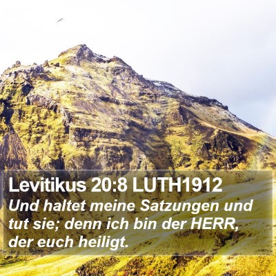 Levitikus 20:8 LUTH1912 Bible Verse Image