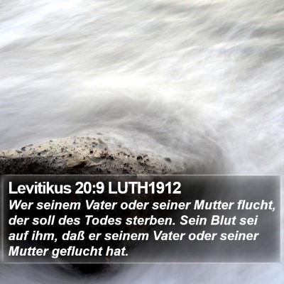 Levitikus 20:9 LUTH1912 Bible Verse Image