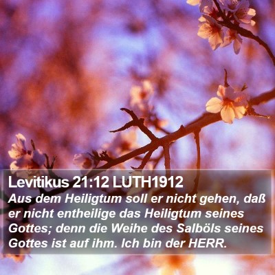 Levitikus 21:12 LUTH1912 Bible Verse Image