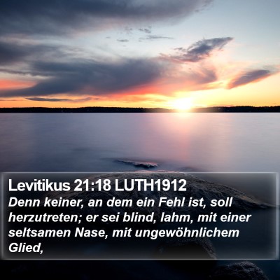 Levitikus 21:18 LUTH1912 Bible Verse Image