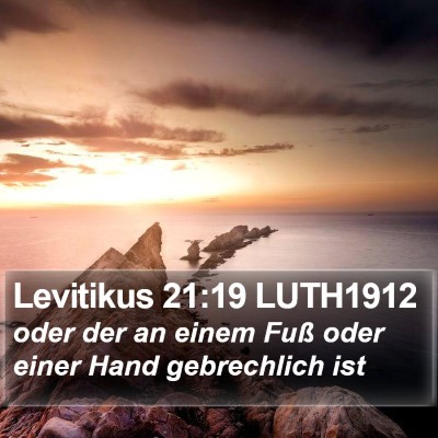 Levitikus 21:19 LUTH1912 Bible Verse Image
