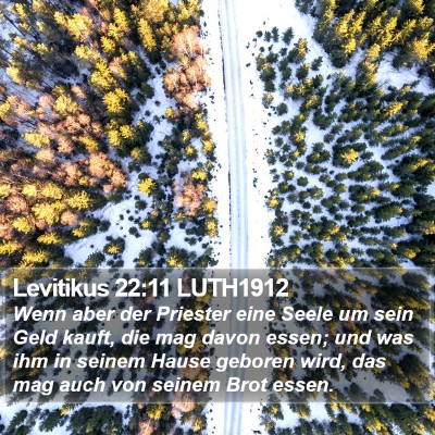 Levitikus 22:11 LUTH1912 Bible Verse Image