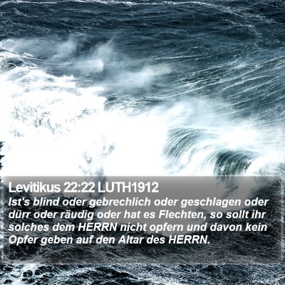 Levitikus 22:22 LUTH1912 Bible Verse Image