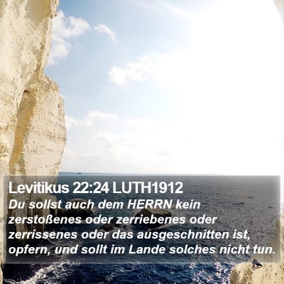 Levitikus 22:24 LUTH1912 Bible Verse Image