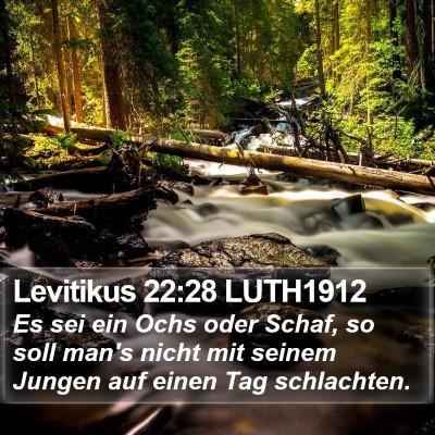 Levitikus 22:28 LUTH1912 Bible Verse Image