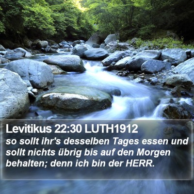 Levitikus 22:30 LUTH1912 Bible Verse Image