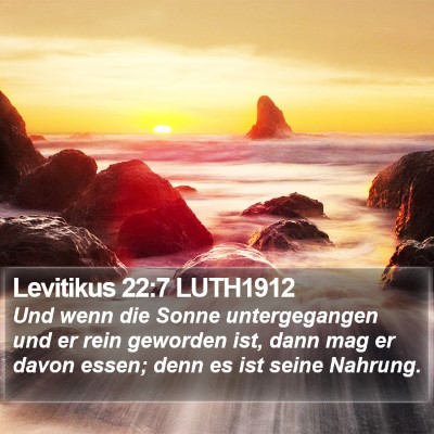 Levitikus 22:7 LUTH1912 Bible Verse Image