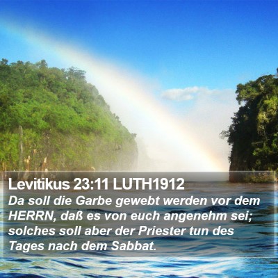 Levitikus 23:11 LUTH1912 Bible Verse Image