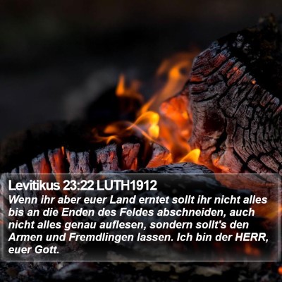 Levitikus 23:22 LUTH1912 Bible Verse Image