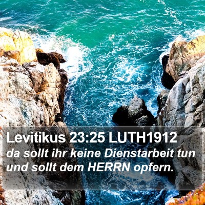 Levitikus 23:25 LUTH1912 Bible Verse Image