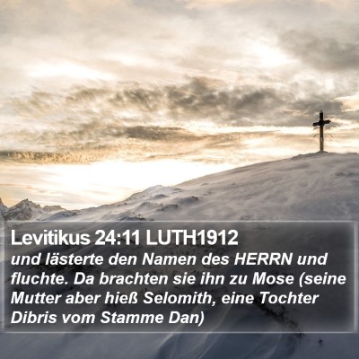 Levitikus 24:11 LUTH1912 Bible Verse Image