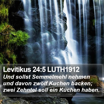 Levitikus 24:5 LUTH1912 Bible Verse Image