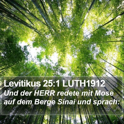 Levitikus 25:1 LUTH1912 Bible Verse Image