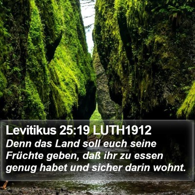 Levitikus 25:19 LUTH1912 Bible Verse Image